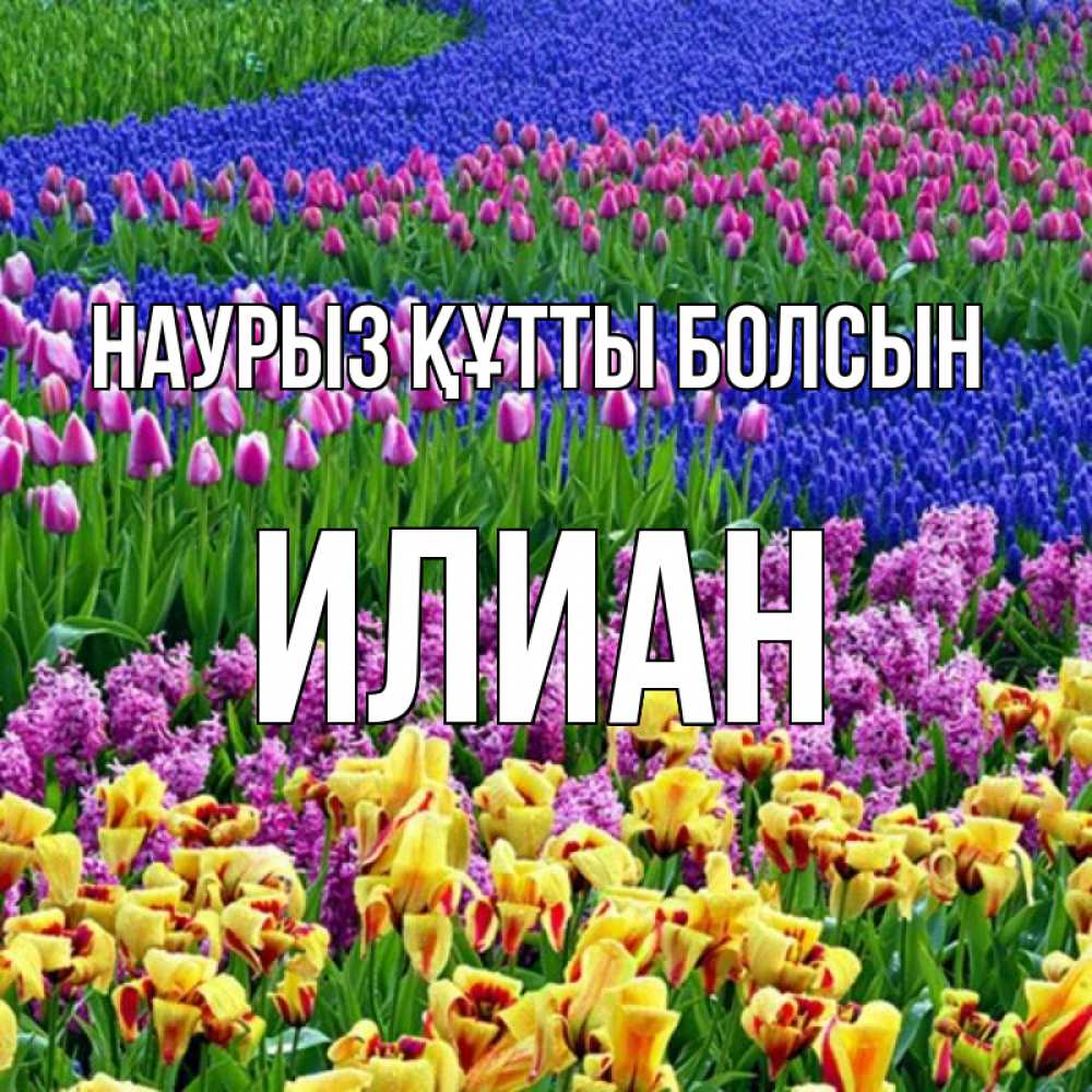 Күн сайын ашық хат с именем, Илиан Наурыз құтты болсын цветы Онлайн тегін жүктеп алу тілектері бар керемет карта 