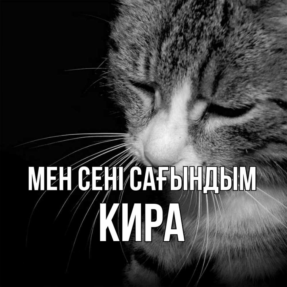 Күн сайын ашық хат с именем, Кира Мен сені сағындым мне скучно Онлайн тегін жүктеп алу тілектері бар керемет карта 