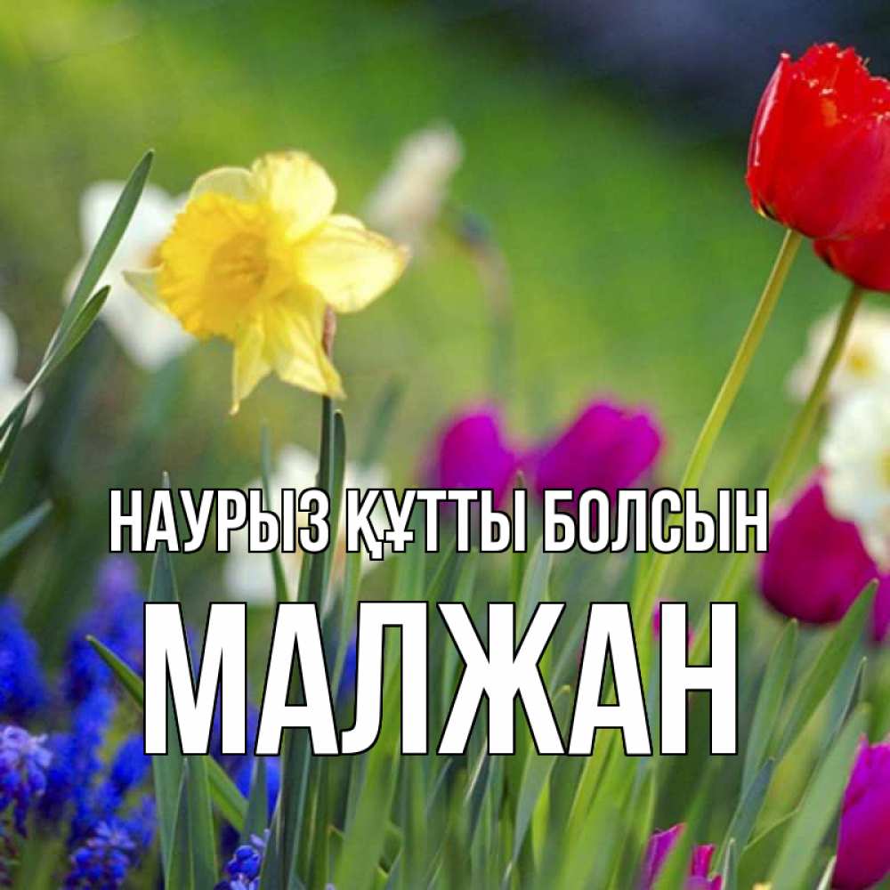 Күн сайын ашық хат с именем, МАЛЖАН Наурыз құтты болсын наурыз  3 открытки Онлайн тегін жүктеп алу тілектері бар керемет карта 