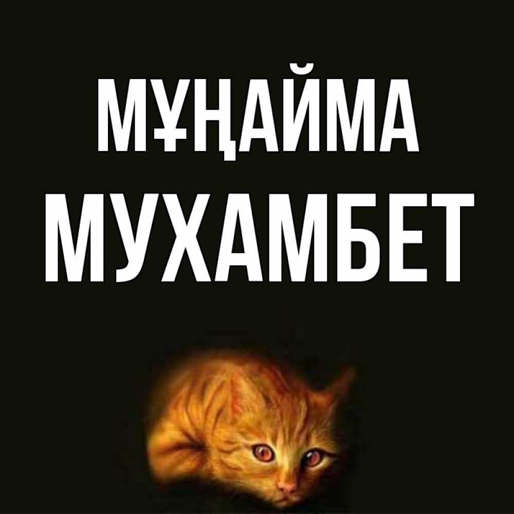 Күн сайын ашық хат с именем, МУХАМБЕТ Мұңайма лежащий кот в темноте Онлайн тегін жүктеп алу тілектері бар керемет карта 