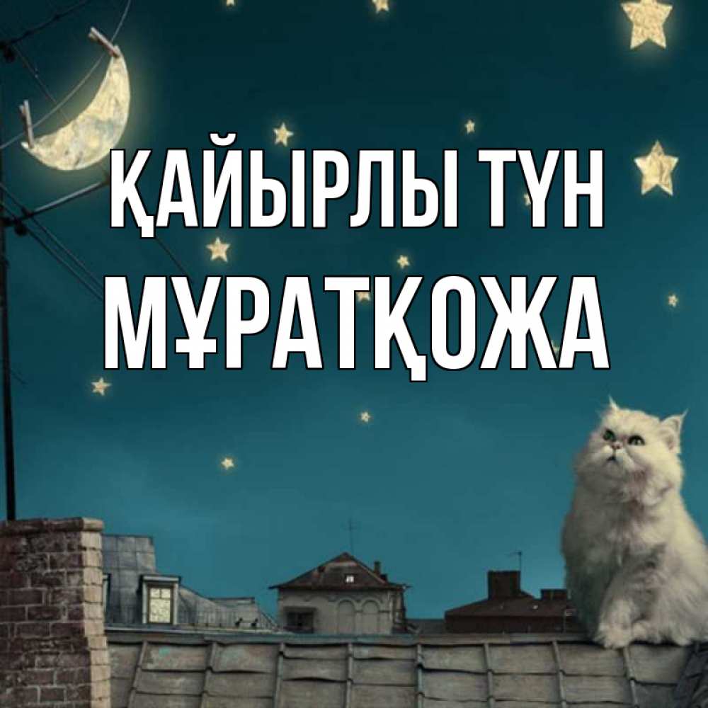Күн сайын ашық хат с именем, Мұратқожа Қайырлы түн белый кот сидит на крыше Онлайн тегін жүктеп алу тілектері бар керемет карта 