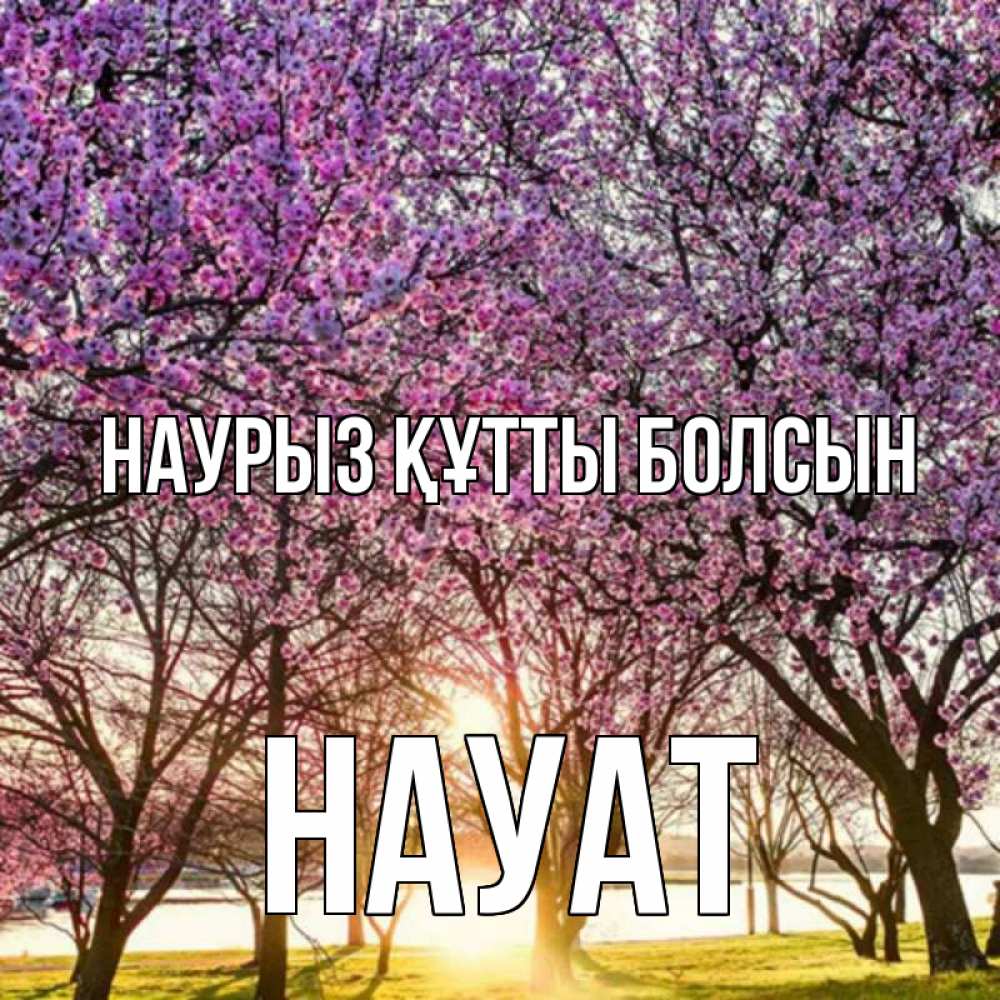 Күн сайын ашық хат с именем, НАУАТ Наурыз құтты болсын наурыз Онлайн тегін жүктеп алу тілектері бар керемет карта 
