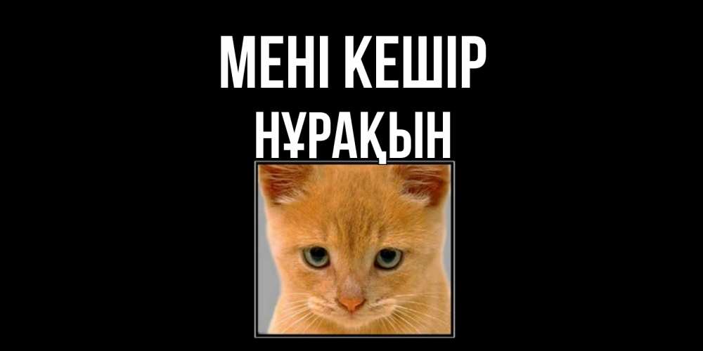 Күн сайын ашық хат с именем, НҰРАҚЫН Мені кешір рыжий грустный кот просит прощения Онлайн тегін жүктеп алу тілектері бар керемет карта 