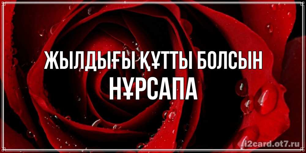 Күн сайын ашық хат с именем, НҰРСАПА Жылдығы құтты болсын крупная бордовая роза Онлайн тегін жүктеп алу тілектері бар керемет карта 