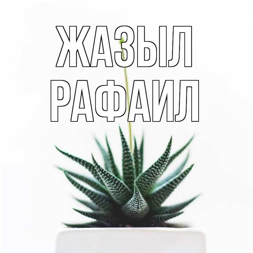 Күн сайын ашық хат с именем, Рафаил Жазыл короче это непонятная колючка Онлайн тегін жүктеп алу тілектері бар керемет карта 