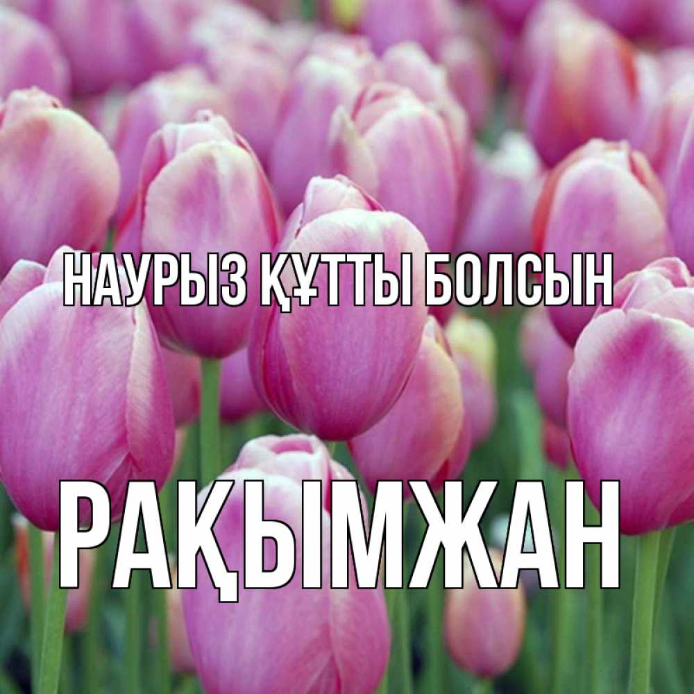 Күн сайын ашық хат с именем, Рақымжан Наурыз құтты болсын на наурыз  день 3 Онлайн тегін жүктеп алу тілектері бар керемет карта 