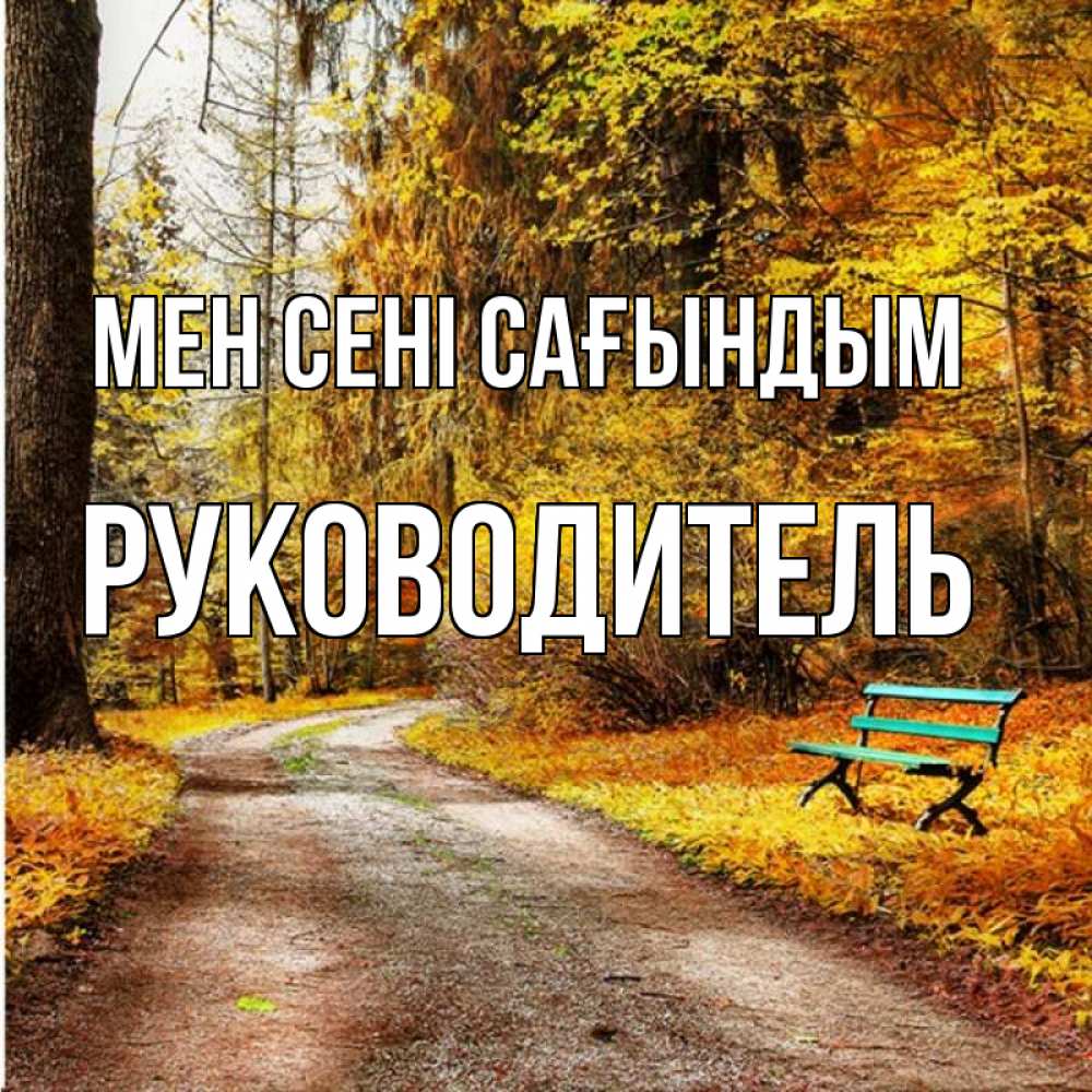 Күн сайын ашық хат с именем, Руководитель Мен сені сағындым зеленая лавочка и осенний лес Онлайн тегін жүктеп алу тілектері бар керемет карта 