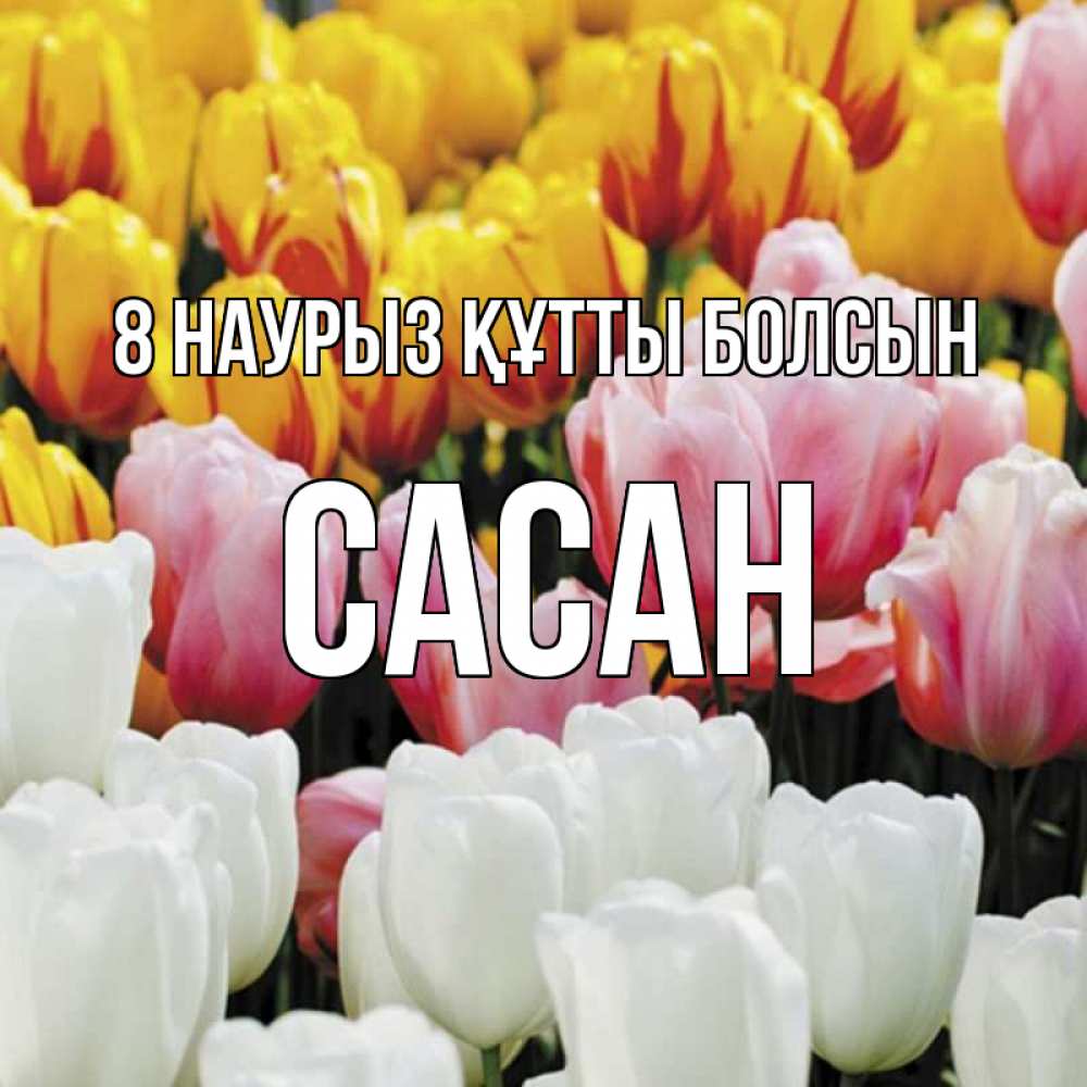 Күн сайын ашық хат с именем, САСАН 8 наурыз құтты болсын разноцветные цветы Онлайн тегін жүктеп алу тілектері бар керемет карта 