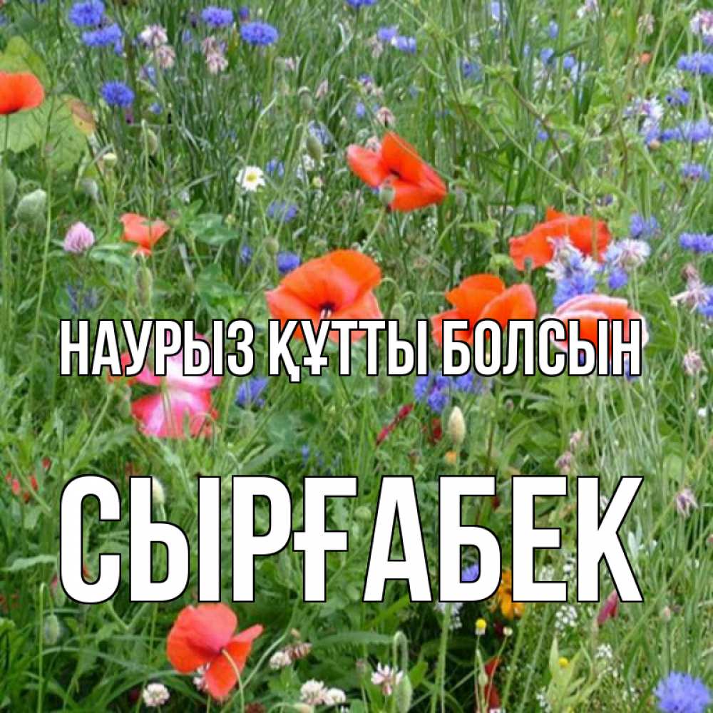 Күн сайын ашық хат с именем, СЫРҒАБЕК Наурыз құтты болсын наурыз  4 Онлайн тегін жүктеп алу тілектері бар керемет карта 