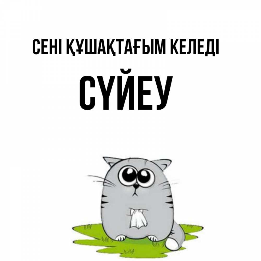 Күн сайын ашық хат с именем, СҮЙЕУ сені құшақтағым келеді котик теребит платочек сидя на травке Онлайн тегін жүктеп алу тілектері бар керемет карта 