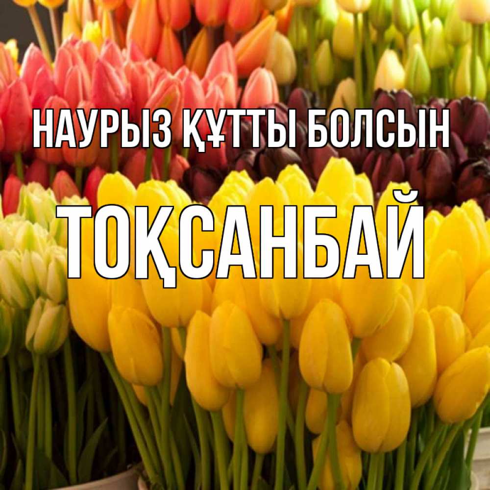 Күн сайын ашық хат с именем, ТОҚСАНБАЙ Наурыз құтты болсын цветы Онлайн тегін жүктеп алу тілектері бар керемет карта 
