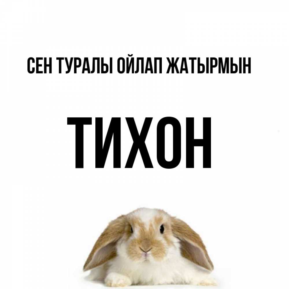 Күн сайын ашық хат с именем, Тихон Сен туралы ойлап жатырмын подписать своими руками онлайн Онлайн тегін жүктеп алу тілектері бар керемет карта 