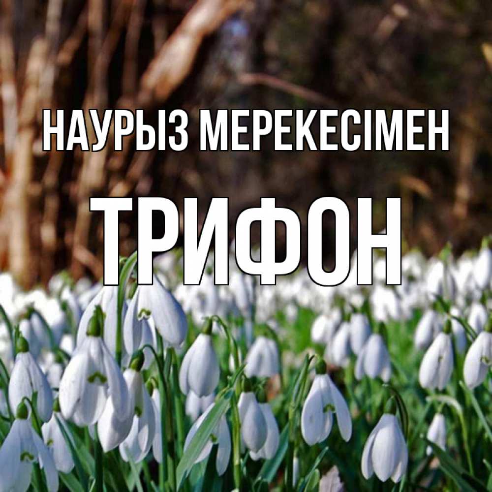 Күн сайын ашық хат с именем, Трифон Наурыз мерекесімен с подснежниками 1 Онлайн тегін жүктеп алу тілектері бар керемет карта 