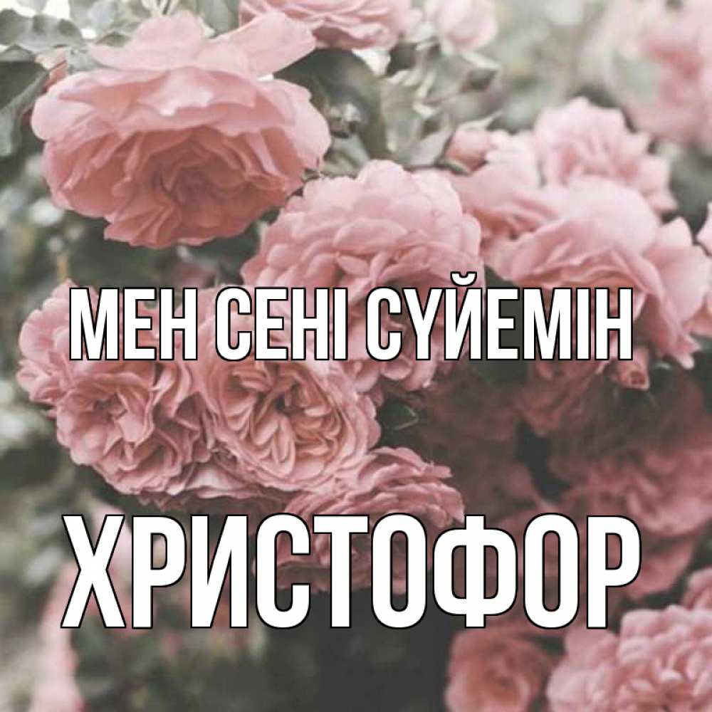 Күн сайын ашық хат с именем, Христофор Мен сені сүйемін розы 3 Онлайн тегін жүктеп алу тілектері бар керемет карта 