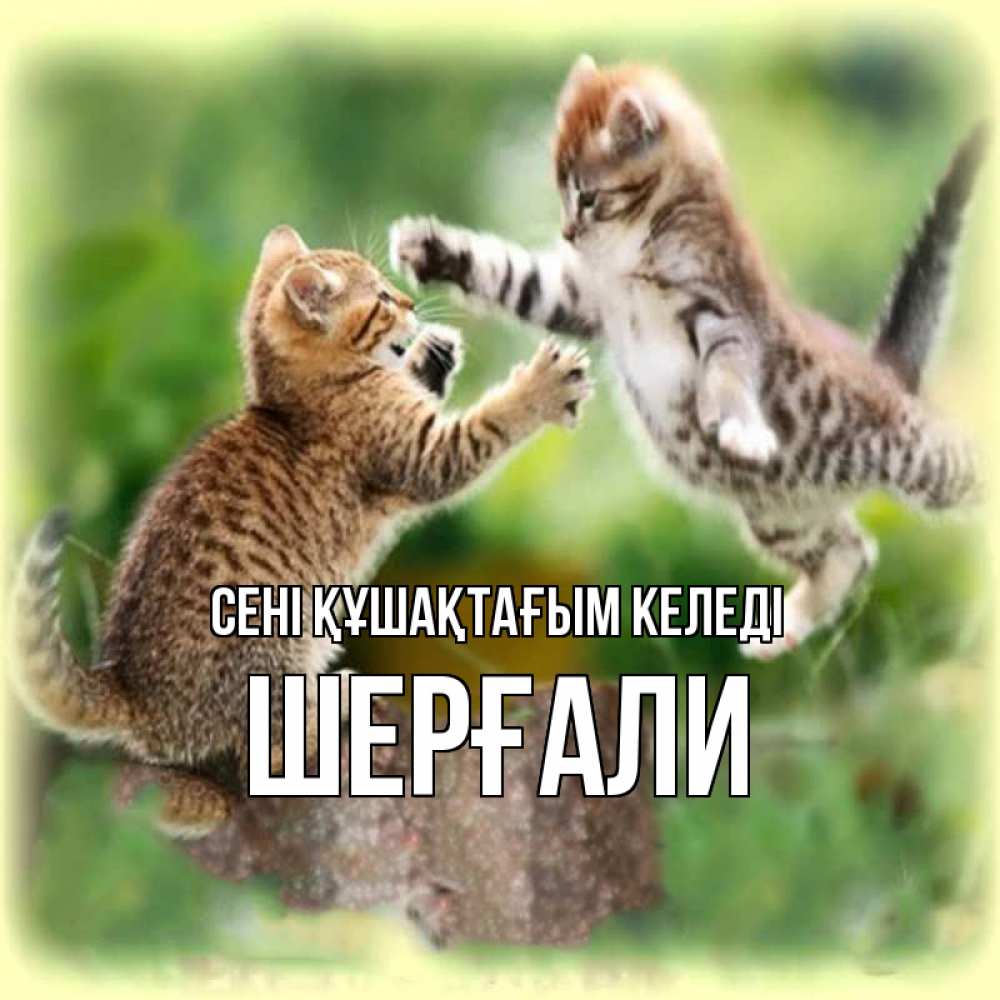 Күн сайын ашық хат с именем, ШЕРҒАЛИ сені құшақтағым келеді игры котят Онлайн тегін жүктеп алу тілектері бар керемет карта 