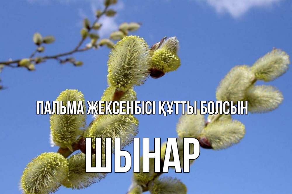 Күн сайын ашық хат с именем, ШЫНАР Пальма жексенбісі құтты болсын верба Онлайн тегін жүктеп алу тілектері бар керемет карта 