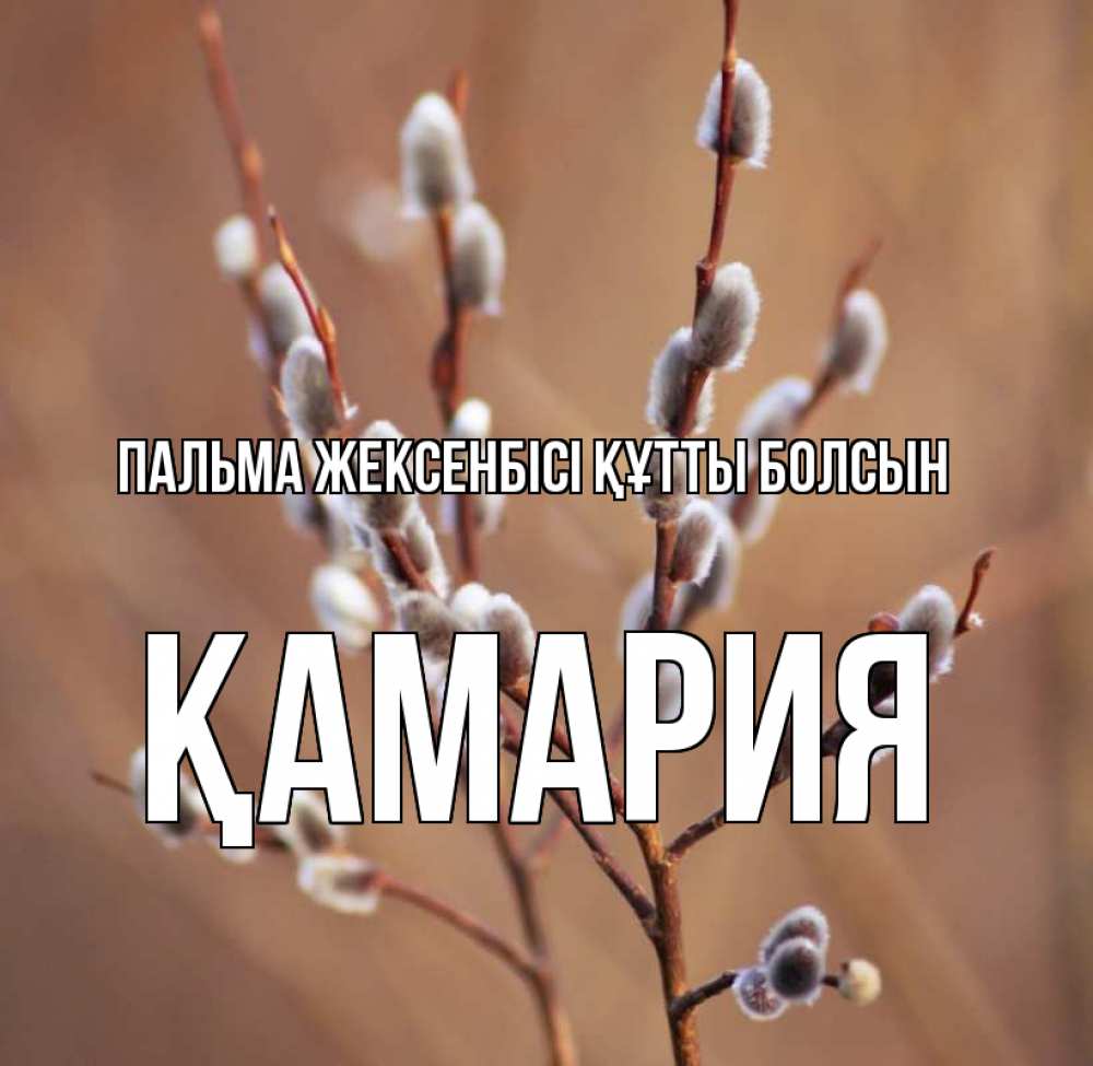 Күн сайын ашық хат с именем, ҚАМАРИЯ Пальма жексенбісі құтты болсын верба Онлайн тегін жүктеп алу тілектері бар керемет карта 