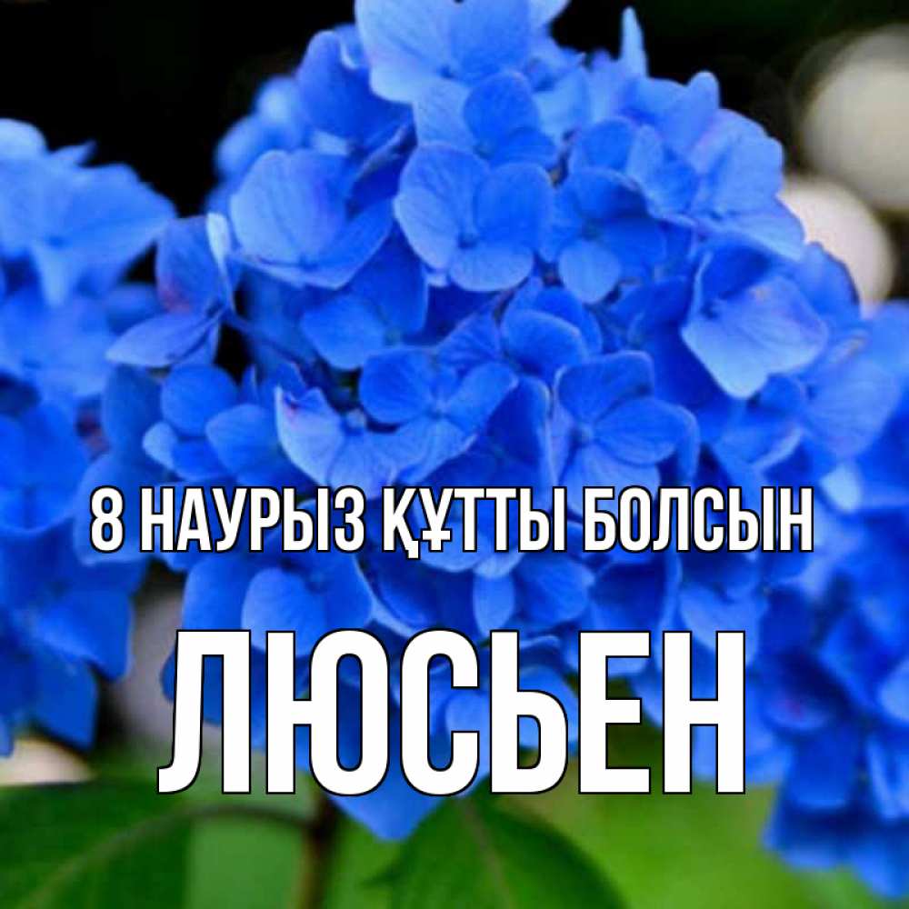 Күн сайын ашық хат с именем, Люсьен 8 наурыз құтты болсын синие цветы Онлайн тегін жүктеп алу тілектері бар керемет карта 