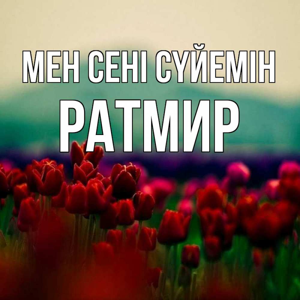 Күн сайын ашық хат с именем, Ратмир Мен сені сүйемін тюльпаны 4 Онлайн тегін жүктеп алу тілектері бар керемет карта 