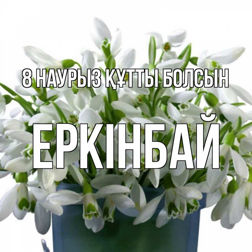Күн сайын ашық хат с именем, Еркінбай 8 наурыз құтты болсын цветы к международному женскому дню Онлайн тегін жүктеп алу тілектері бар керемет карта 