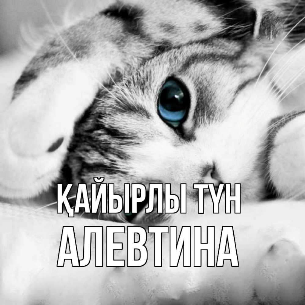 Күн сайын ашық хат с именем, Алевтина Қайырлы түн кот устал Онлайн тегін жүктеп алу тілектері бар керемет карта 