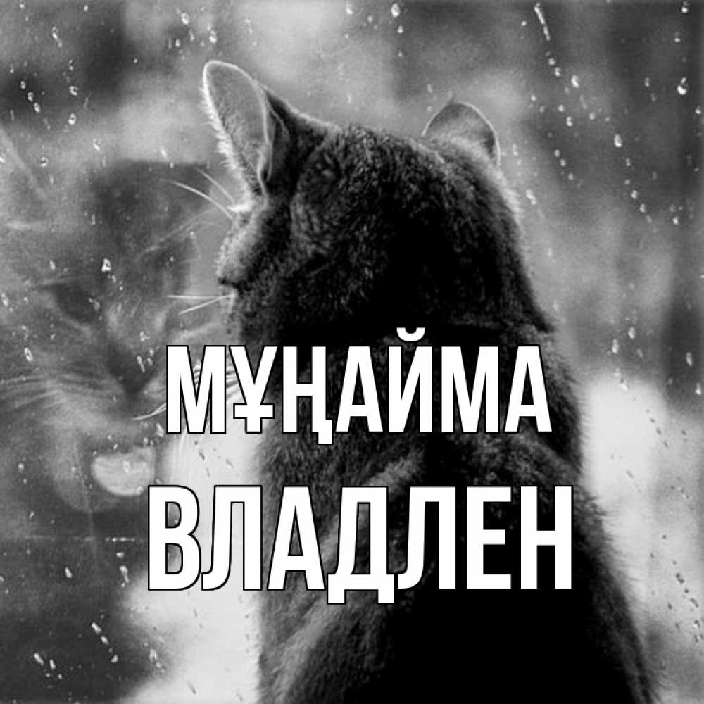 Күн сайын ашық хат с именем, Владлен Мұңайма отражение кота 1 Онлайн тегін жүктеп алу тілектері бар керемет карта 
