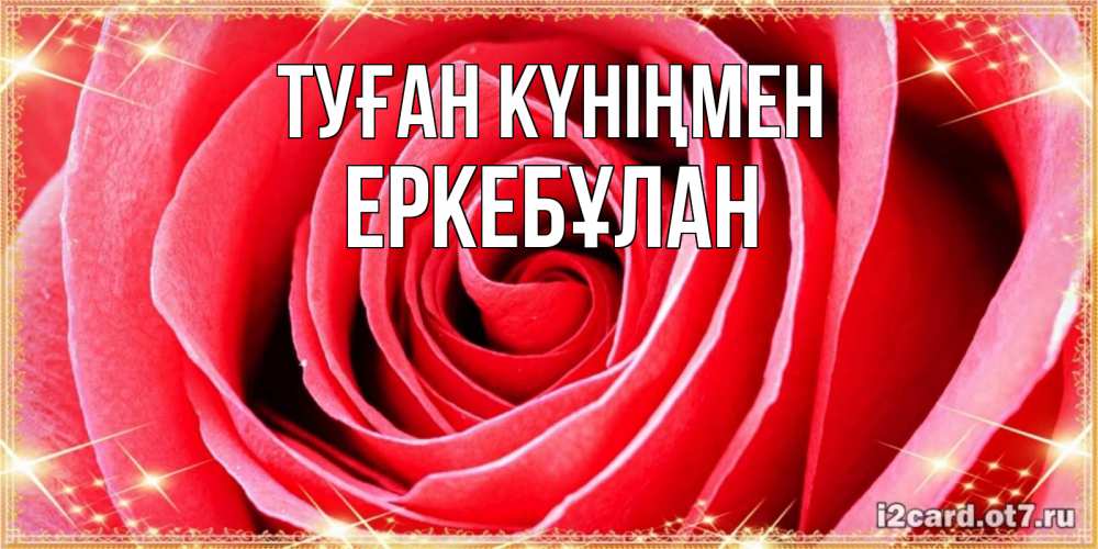 Күн сайын ашық хат с именем, Еркебұлан Туған күніңмен розовая роза очень крупный бутон Онлайн тегін жүктеп алу тілектері бар керемет карта 