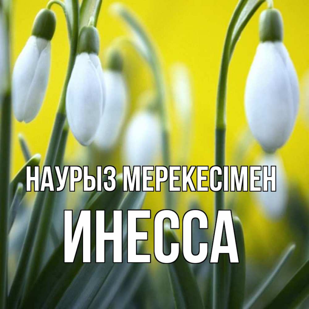 Күн сайын ашық хат с именем, Инесса Наурыз мерекесімен весенние цветы Онлайн тегін жүктеп алу тілектері бар керемет карта 