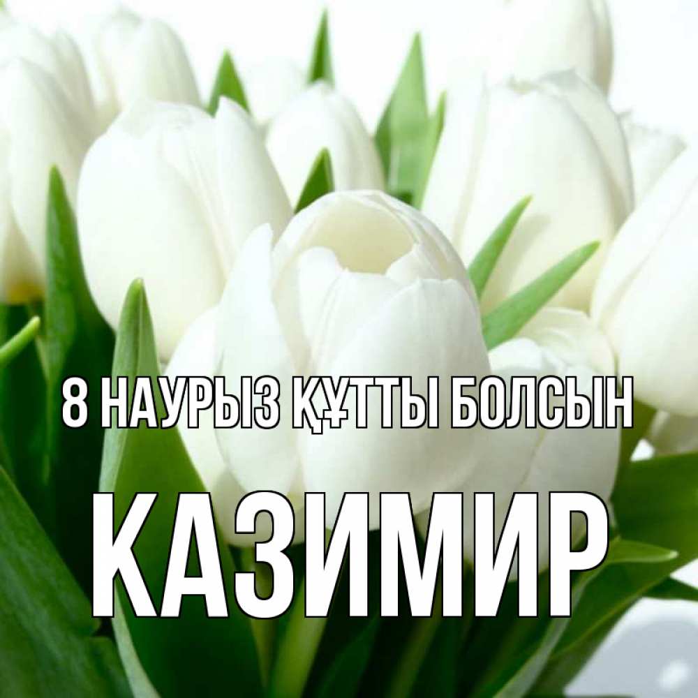 Күн сайын ашық хат с именем, Казимир 8 наурыз құтты болсын цветы Онлайн тегін жүктеп алу тілектері бар керемет карта 