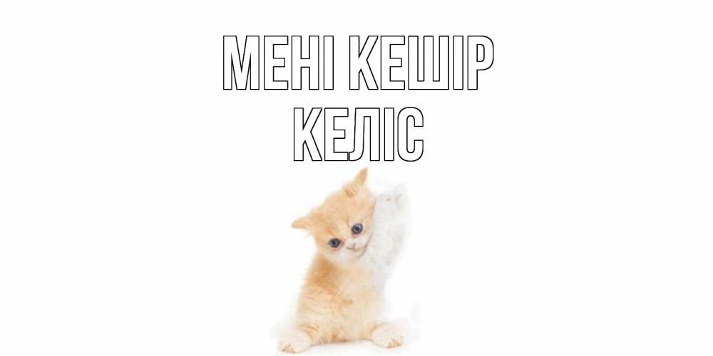 Күн сайын ашық хат с именем, Келіс Мені кешір кот Онлайн тегін жүктеп алу тілектері бар керемет карта 