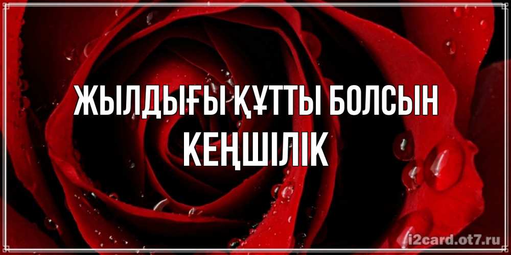 Күн сайын ашық хат с именем, Кеңшілік Жылдығы құтты болсын крупная бордовая роза Онлайн тегін жүктеп алу тілектері бар керемет карта 