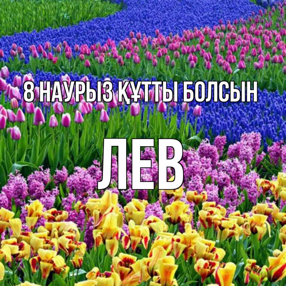 Күн сайын ашық хат с именем, Лев 8 наурыз құтты болсын цветы Онлайн тегін жүктеп алу тілектері бар керемет карта 