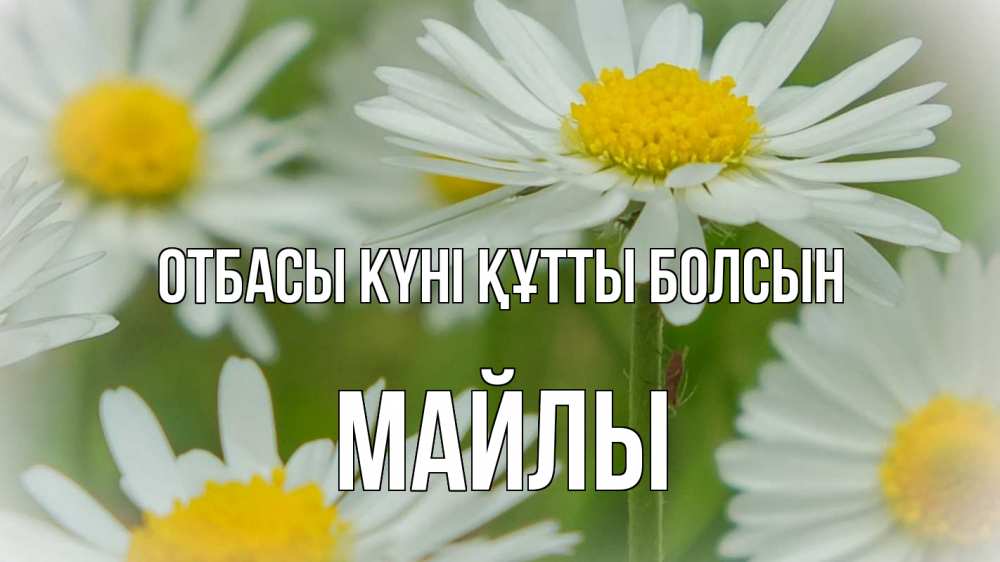 Күн сайын ашық хат с именем, МАЙЛЫ отбасы күні құтты болсын с днем семьи  1 Онлайн тегін жүктеп алу тілектері бар керемет карта 