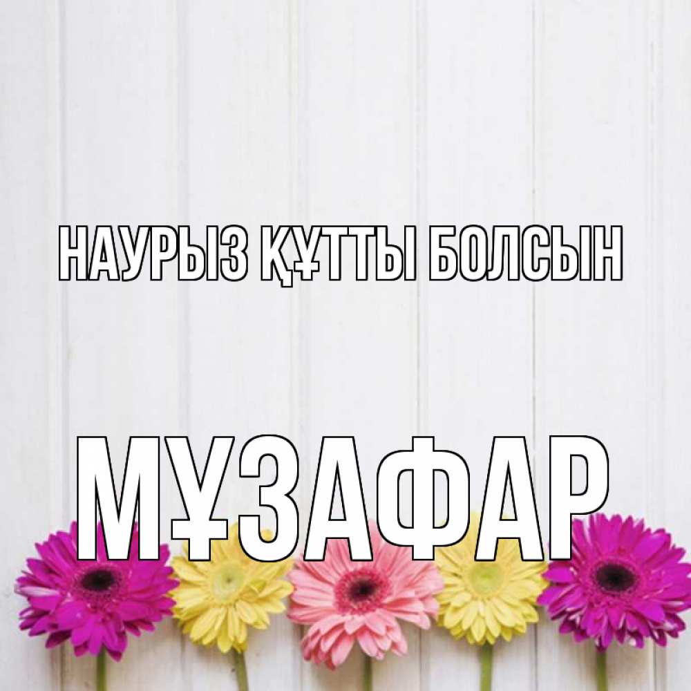 Күн сайын ашық хат с именем, МҰЗАФАР Наурыз құтты болсын женщинам 1 Онлайн тегін жүктеп алу тілектері бар керемет карта 