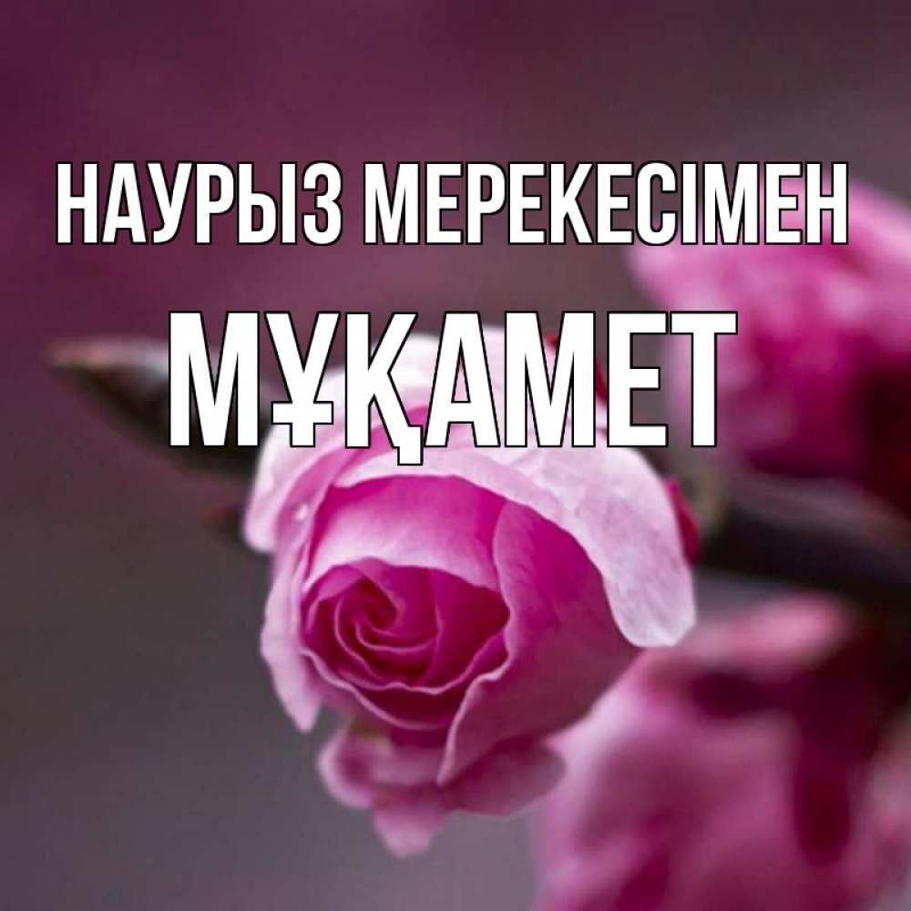 Күн сайын ашық хат с именем, МҰҚАМЕТ Наурыз мерекесімен весна Онлайн тегін жүктеп алу тілектері бар керемет карта 