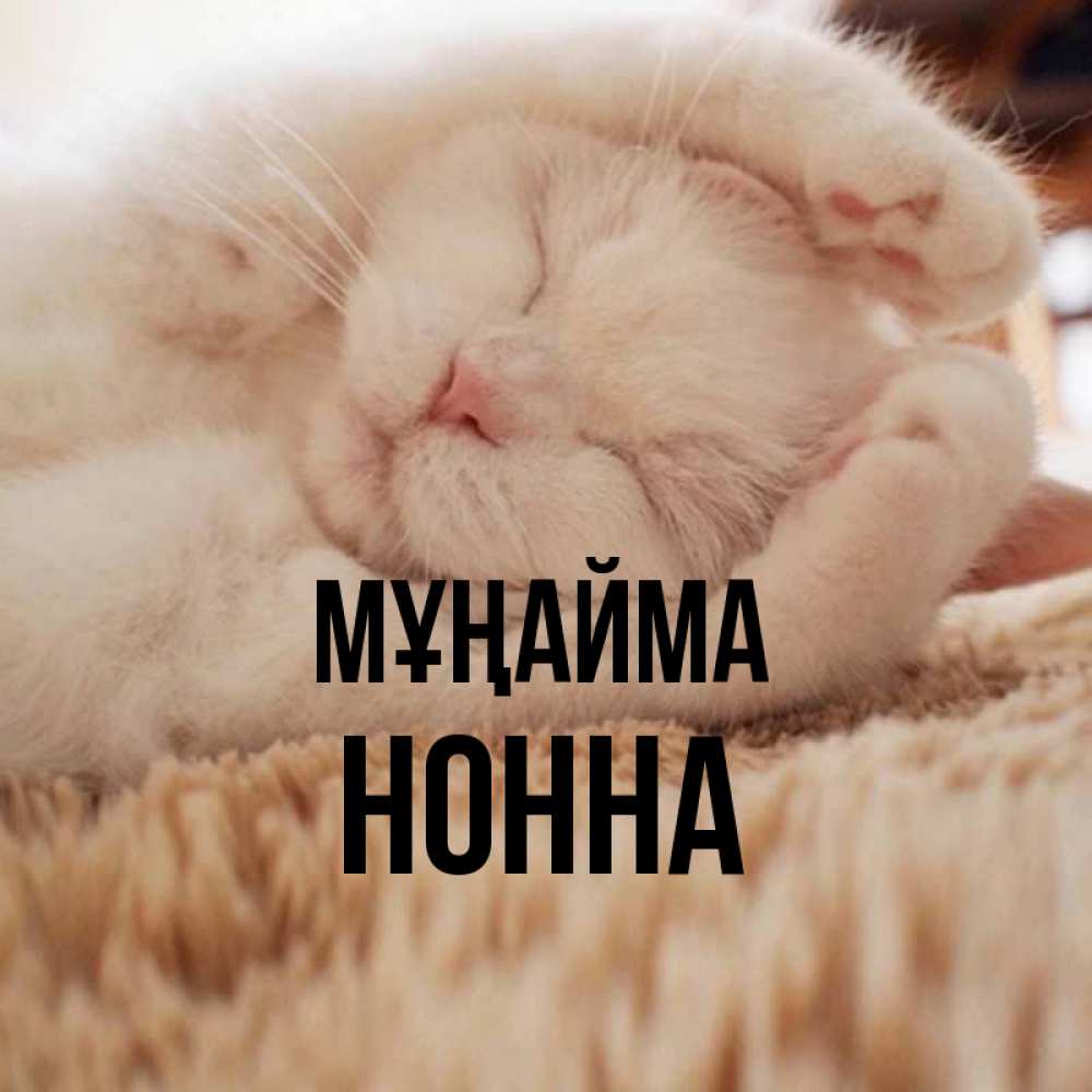 Күн сайын ашық хат с именем, Нонна Мұңайма Котенок спит Онлайн тегін жүктеп алу тілектері бар керемет карта 