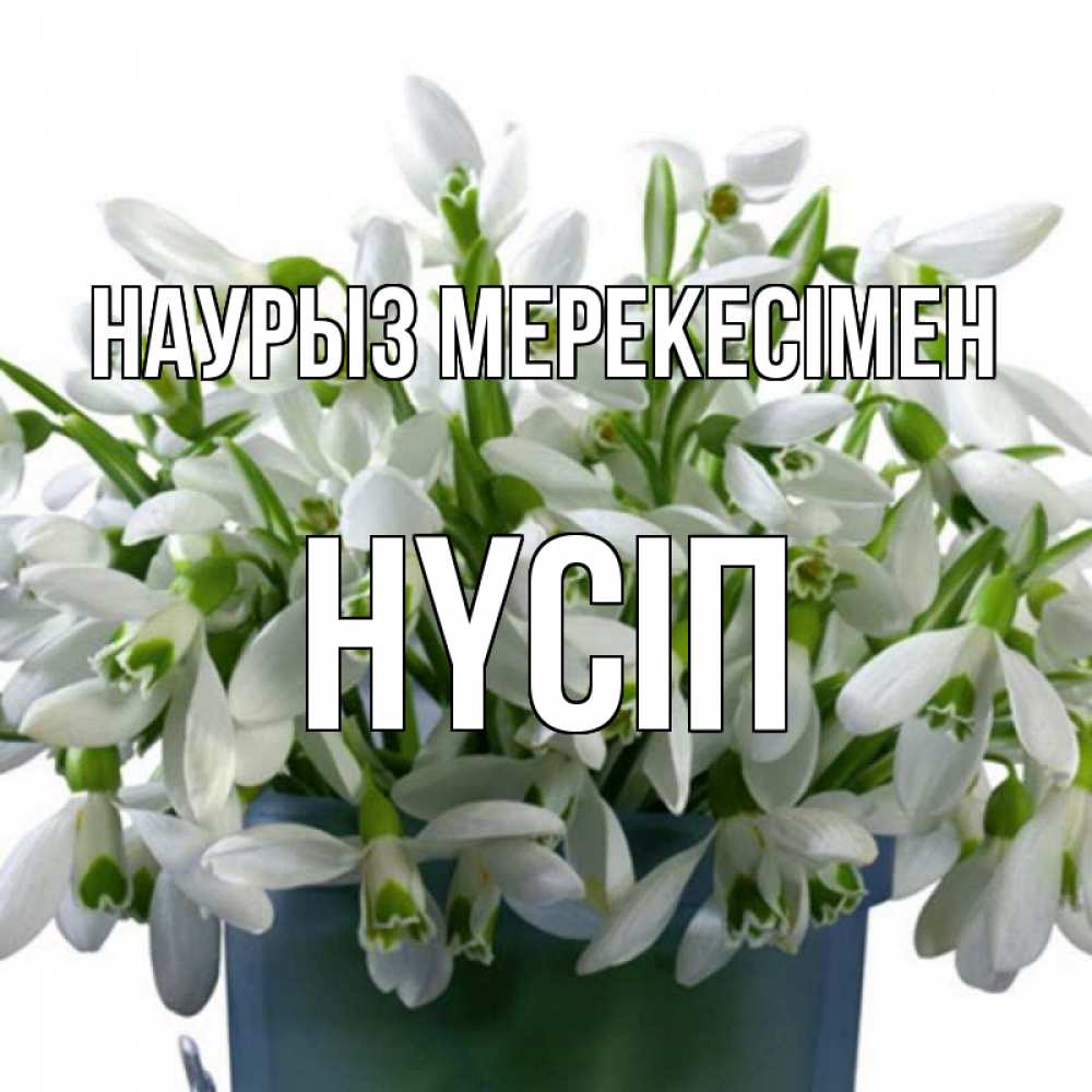 Күн сайын ашық хат с именем, НҮСІП Наурыз мерекесімен цветы к наурызу новый год в Казахстане Онлайн тегін жүктеп алу тілектері бар керемет карта 