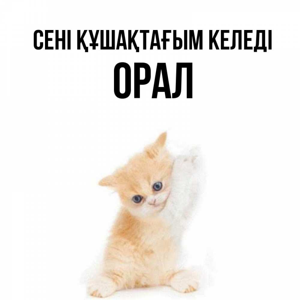 Күн сайын ашық хат с именем, ОРАЛ сені құшақтағым келеді я хочу очень скорее обнимаешек Онлайн тегін жүктеп алу тілектері бар керемет карта 