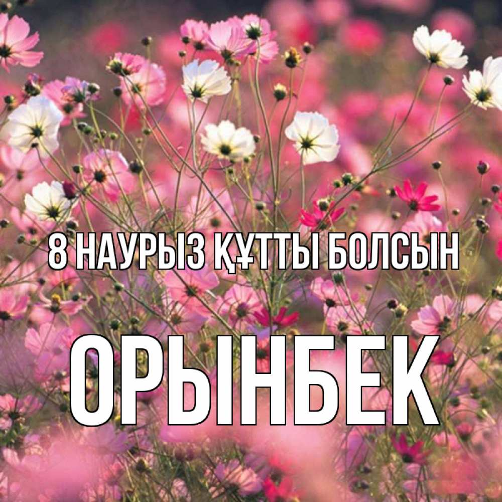 Күн сайын ашық хат с именем, ОРЫНБЕК 8 наурыз құтты болсын красиво 1 Онлайн тегін жүктеп алу тілектері бар керемет карта 
