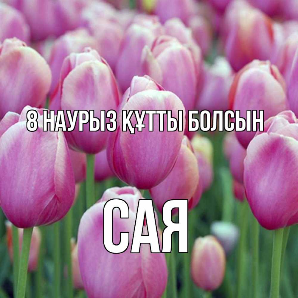 Күн сайын ашық хат с именем, САЯ 8 наурыз құтты болсын на международный женский день 3 Онлайн тегін жүктеп алу тілектері бар керемет карта 