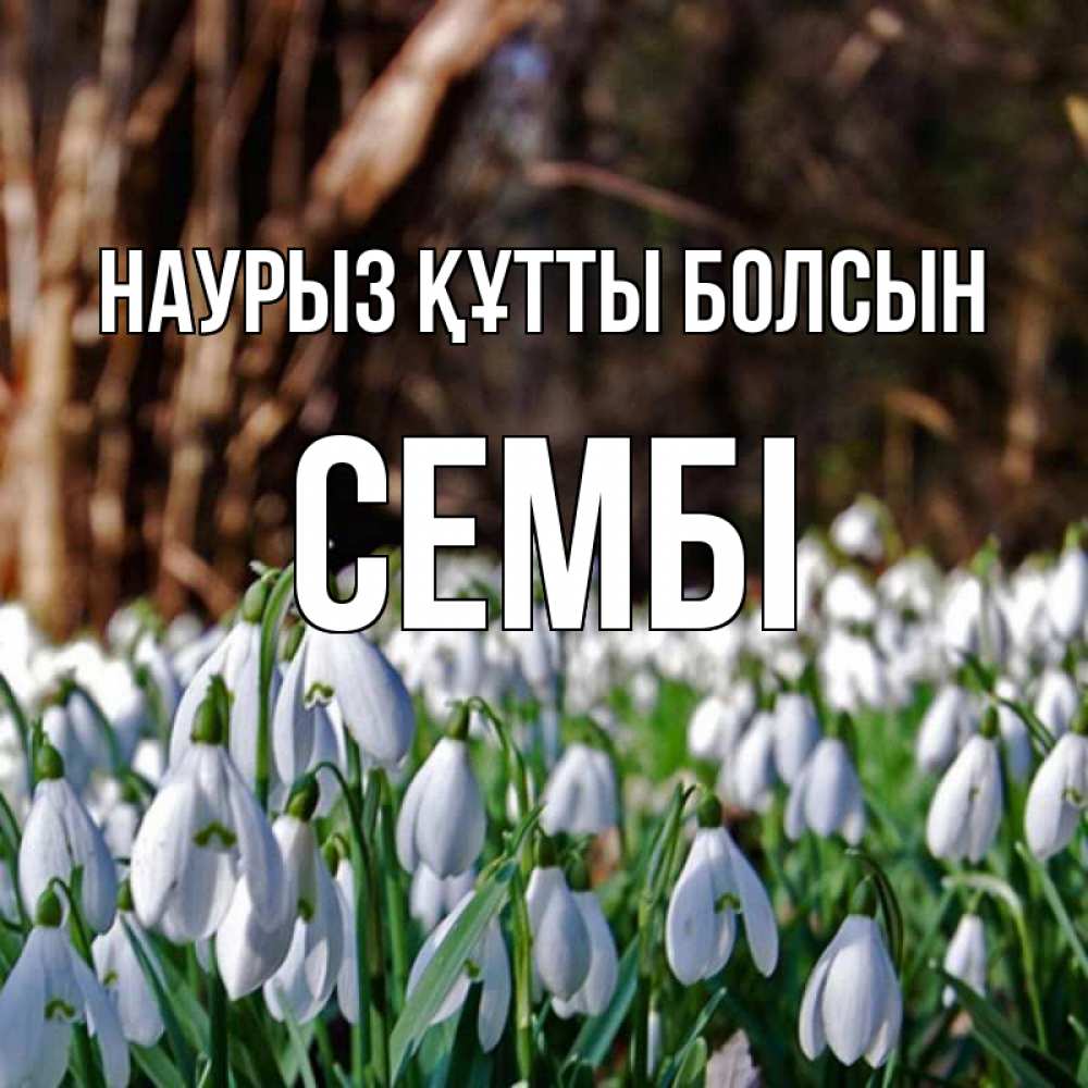Күн сайын ашық хат с именем, СЕМБІ Наурыз құтты болсын с подснежниками 1 Онлайн тегін жүктеп алу тілектері бар керемет карта 