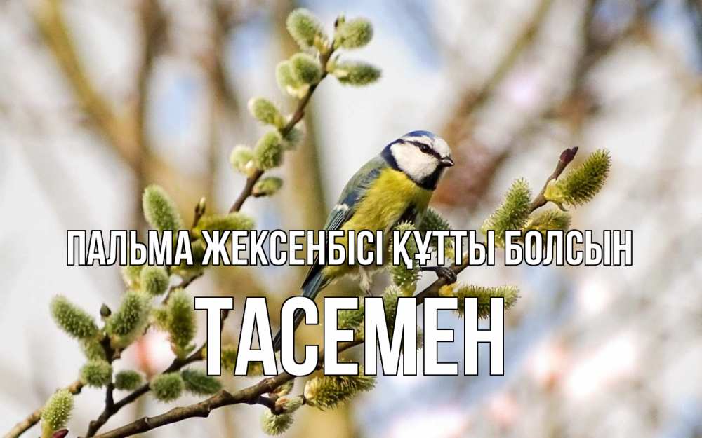 Күн сайын ашық хат с именем, ТАСЕМЕН Пальма жексенбісі құтты болсын верба Онлайн тегін жүктеп алу тілектері бар керемет карта 