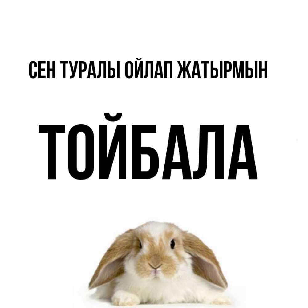 Күн сайын ашық хат с именем, ТОЙБАЛА Сен туралы ойлап жатырмын подписать своими руками онлайн Онлайн тегін жүктеп алу тілектері бар керемет карта 