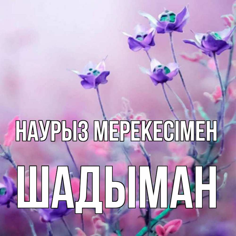 Күн сайын ашық хат с именем, ШАДЫМАН Наурыз мерекесімен международный женский день 2 Онлайн тегін жүктеп алу тілектері бар керемет карта 