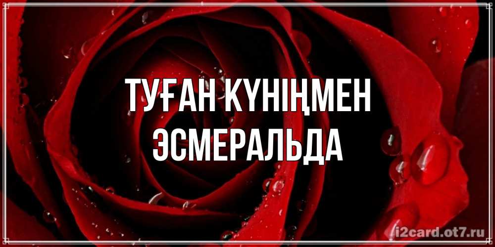 Күн сайын ашық хат с именем, Эсмеральда Туған күніңмен крупная бордовая роза Онлайн тегін жүктеп алу тілектері бар керемет карта 