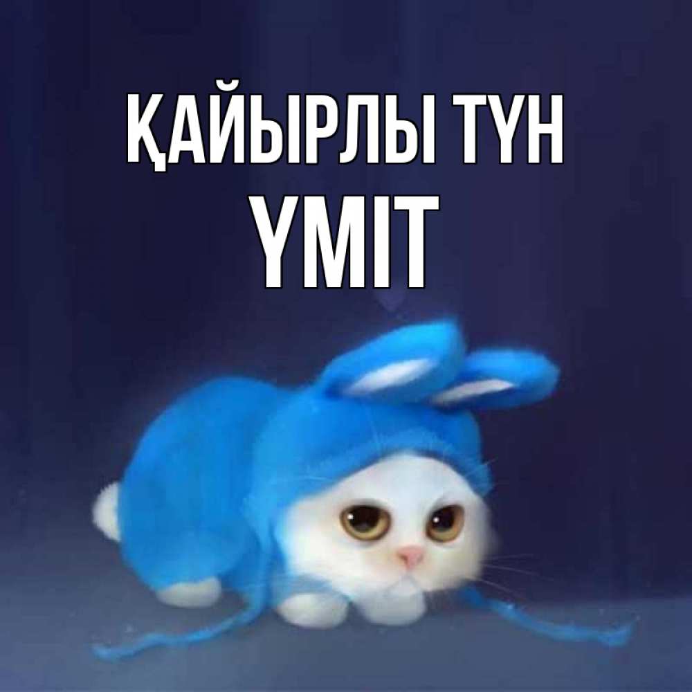 Күн сайын ашық хат с именем, ҮМІТ Қайырлы түн кот в голубом костюме кролика с ушками Онлайн тегін жүктеп алу тілектері бар керемет карта 