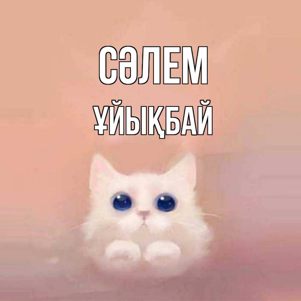 Күн сайын ашық хат с именем, ҰЙЫҚБАЙ Сәлем котик белый в полете Онлайн тегін жүктеп алу тілектері бар керемет карта 