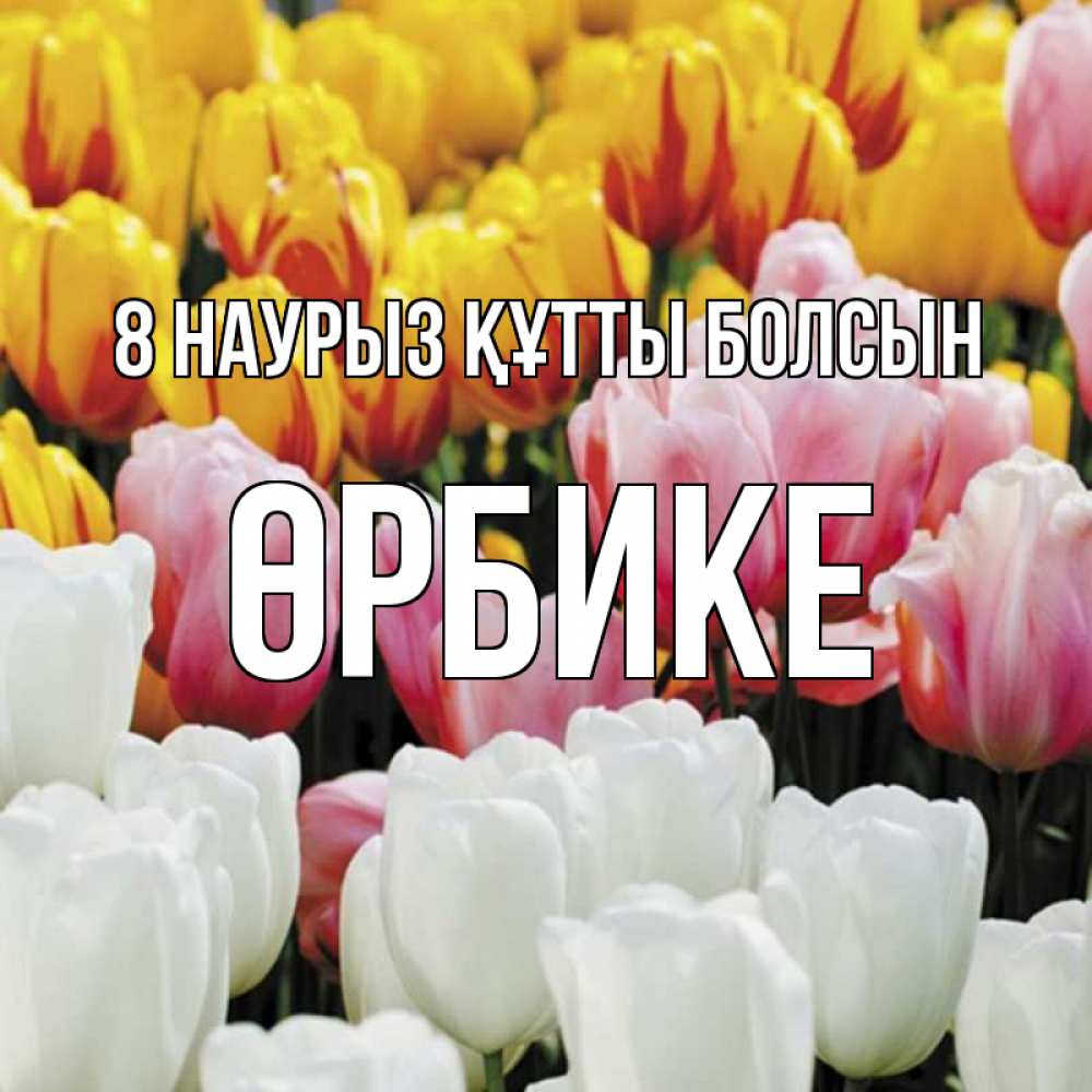 Күн сайын ашық хат с именем, ӨРБИКЕ 8 наурыз құтты болсын разноцветные цветы Онлайн тегін жүктеп алу тілектері бар керемет карта 