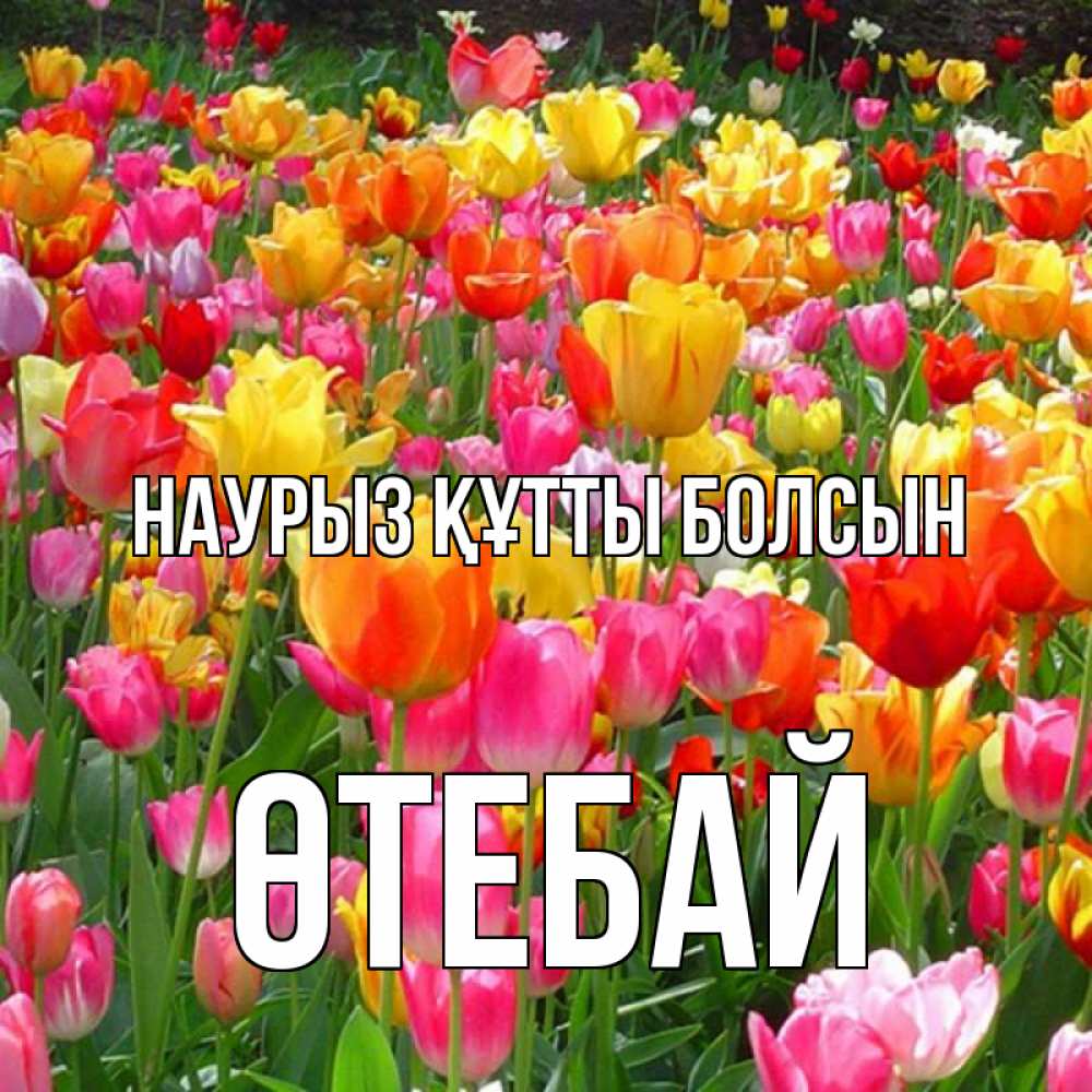 Күн сайын ашық хат с именем, ӨТЕБАЙ Наурыз құтты болсын на наурыз  ура ура Онлайн тегін жүктеп алу тілектері бар керемет карта 