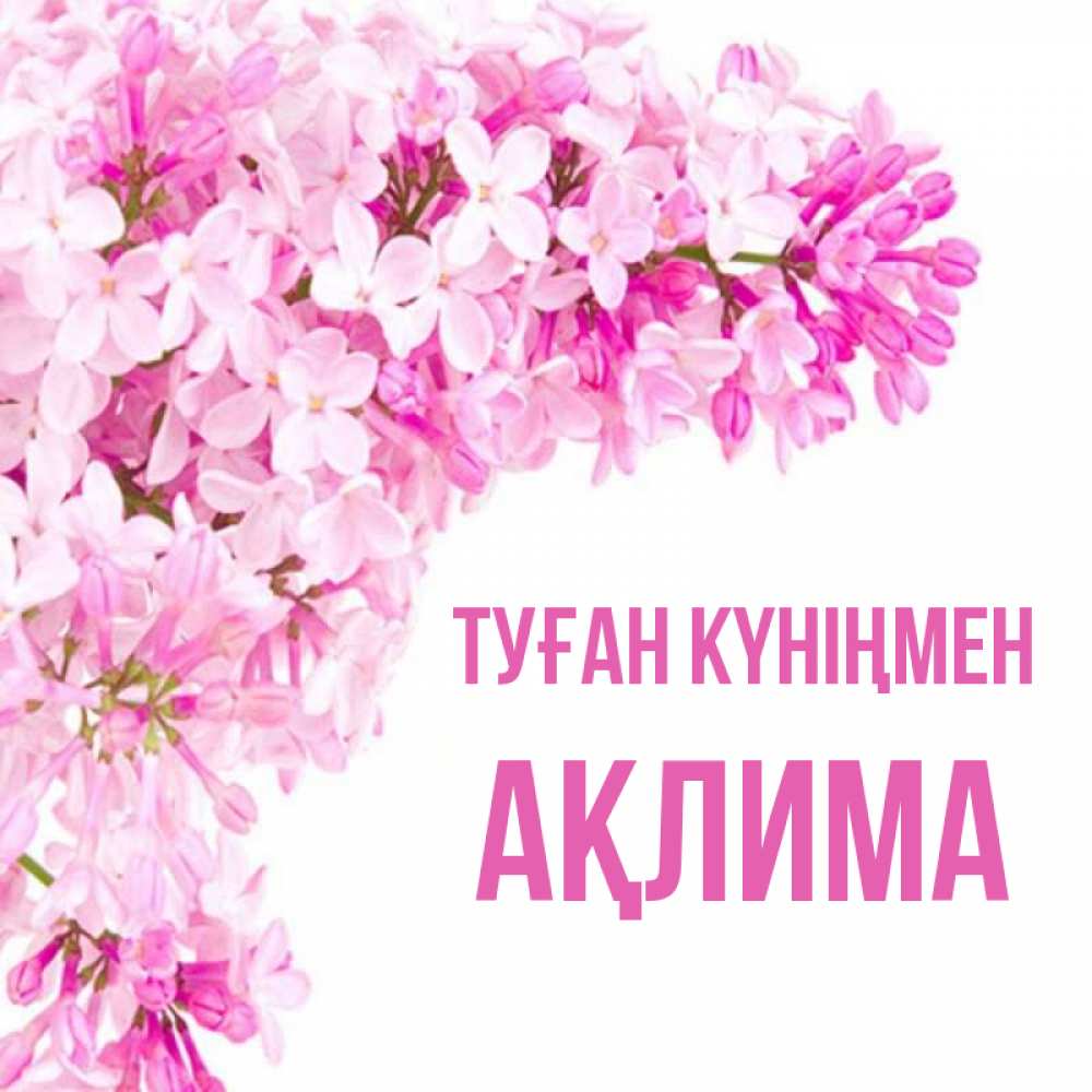 Күн сайын ашық хат с именем, АҚЛИМА Туған күніңмен Сирень на белом фоне Онлайн тегін жүктеп алу тілектері бар керемет карта 